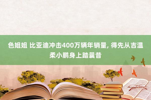 色姐姐 比亚迪冲击400万辆年销量， 得先从吉温柔小鹏身上踏曩昔