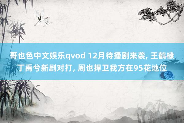 哥也色中文娱乐qvod 12月待播剧来袭， 王鹤棣丁禹兮新剧对打， 周也捍卫我方在95花地位