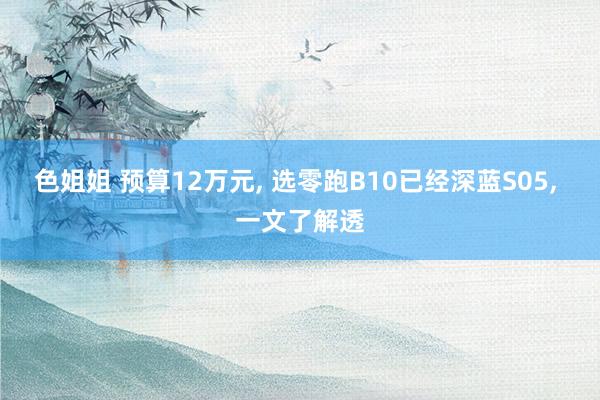 色姐姐 预算12万元， 选零跑B10已经深蓝S05， 一文了解透